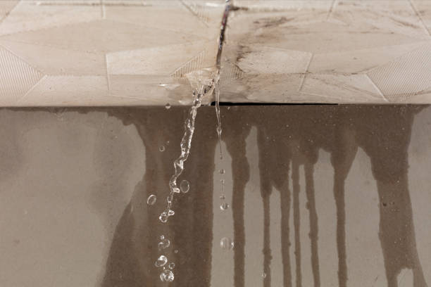 Professional Structural Drying technician working in Yorktown, TX